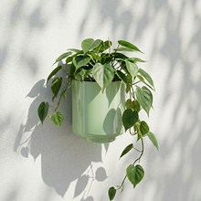 Load image into Gallery viewer, Messo Wall Pot