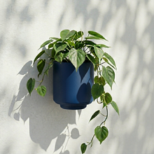 Load image into Gallery viewer, Messo Wall Pot