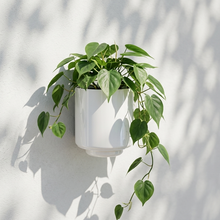 Load image into Gallery viewer, Messo Wall Pot