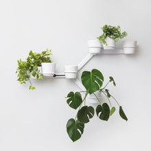 Load image into Gallery viewer, Joe_Paine_Planters_Kreep_Exec_White_001