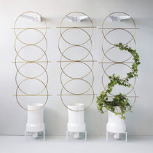 Load image into Gallery viewer, Joe_Paine_Planters_Tower_Palm_Trellis_Gold_001