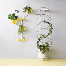 Load image into Gallery viewer, Joe_Paine_Planters_Tower_Palm_Trellis_Gold_003