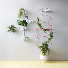 Load image into Gallery viewer, Joe_Paine_Planters_Tower_Palm_Trellis_Pink_004