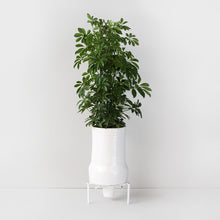 Load image into Gallery viewer, Joe_Paine_Planters_Tower_White_001