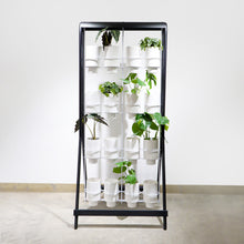 Load image into Gallery viewer, Joe_Paine_Planters_Vertical_Black_001