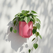 Load image into Gallery viewer, Messo Wall Pot
