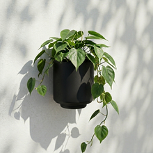 Load image into Gallery viewer, Messo Wall Pot

