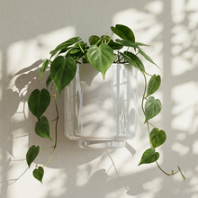 Load image into Gallery viewer, Messo Wall Pot
