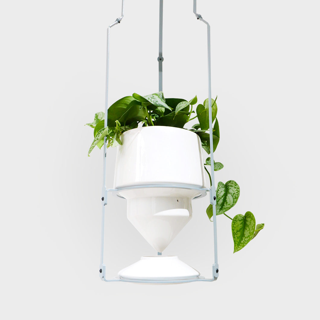 bittergurka hanging planter Drippp Planter